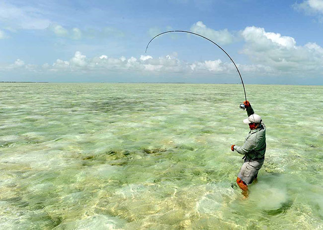 Jeffrey pulling his fishing rod after catching some stunning fish in Cozumel.