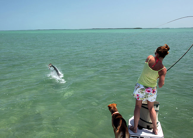 Linda pulling out a big catch in her fly fishing excursion in Cozumel.